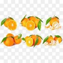 橘子-空若网 橘子-空若网