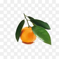 ����-������