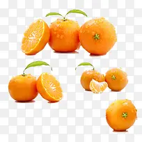 橘子-空若网 橘子-空若网