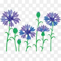 薰衣草手绘设计-空若网 薰衣草手绘设计-空若网