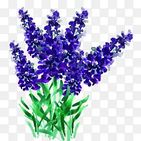 ޹�²�-������