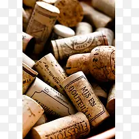 ���ƴ�������ʳ��-������