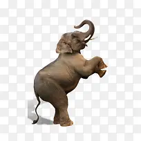 ����ɰ�����С��-������