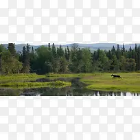 淘宝背景-空若网 淘宝背景-空若网