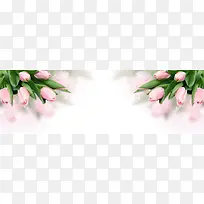 �Ա�����-������