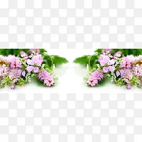 ÌÔ±¦±³¾°-¿ÕÈôÍø ÌÔ±¦±³¾°-¿ÕÈôÍø