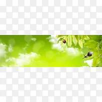 淘宝背景-空若网 淘宝背景-空若网