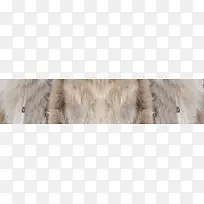 淘宝皮草背景banner-空若网 淘宝皮草背景banner-空若网