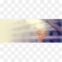 �Ա�����-������