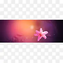 �λñ���-������