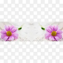 �Ա�����-������