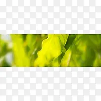 淘宝背景-空若网 淘宝背景-空若网