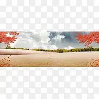 �Ա�����-������