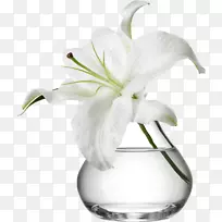 花瓶花盆玻璃花束花瓶-空若网 花瓶花盆玻璃花束花瓶-空若网