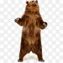 ��۶��ﹷ��-������