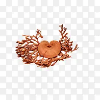 ��֥��-������