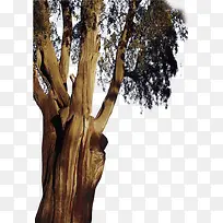 ��-������