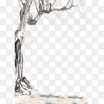 老树-空若网 老树-空若网