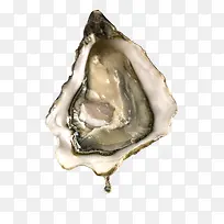 生鲜生蚝野生-空若网 生鲜生蚝野生-空若网