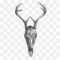 动物 羊头-空若网 动物 羊头-空若网