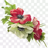 �л��������-����-������