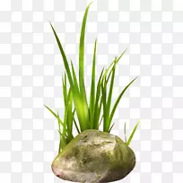 石牛林剪贴画-复活节草-空若网 石牛林剪贴画-复活节草-空若网