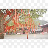 ���������Ը��-������