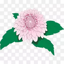 画大丽花剪贴画.花插图-空若网 画大丽花剪贴画.花插图-空若网