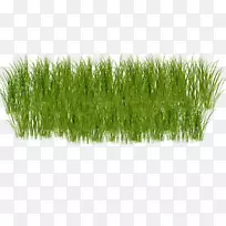 �ݱ�ֲ���դͼ�μ����������ʲ�-������