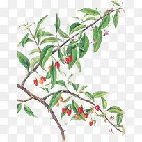 �ֻ����-������