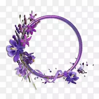 下载android设计-空若网 下载android设计-空若网