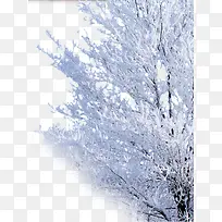 北方雾凇树枝-空若网 北方雾凇树枝-空若网