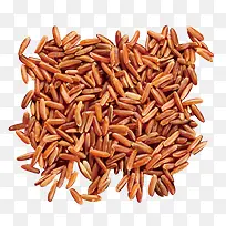 决明子-空若网 决明子-空若网