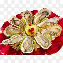 生蚝-空若网 生蚝-空若网