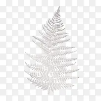 树手绘灰色树-空若网 树手绘灰色树-空若网