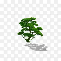 景观鸟瞰树-空若网 景观鸟瞰树-空若网