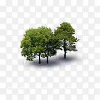 景观鸟瞰树-空若网 景观鸟瞰树-空若网