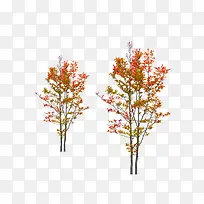 景观鸟瞰树-空若网 景观鸟瞰树-空若网