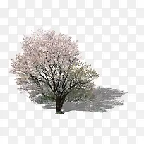 景观鸟瞰树-空若网 景观鸟瞰树-空若网