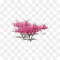 ���������-������