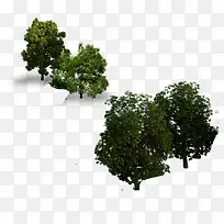 景观鸟瞰树-空若网 景观鸟瞰树-空若网