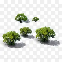 景观鸟瞰树-空若网 景观鸟瞰树-空若网