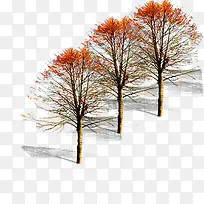 景观鸟瞰树-空若网 景观鸟瞰树-空若网