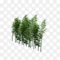 景观鸟瞰树-空若网 景观鸟瞰树-空若网