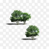 景观鸟瞰树-空若网 景观鸟瞰树-空若网