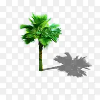 景观鸟瞰树-空若网 景观鸟瞰树-空若网