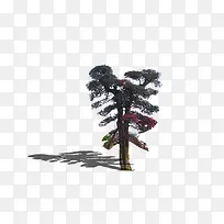 景观鸟瞰树-空若网 景观鸟瞰树-空若网