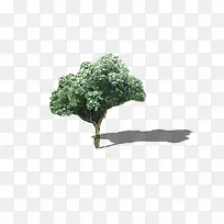 ���������-������