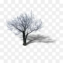 景观鸟瞰树-空若网 景观鸟瞰树-空若网