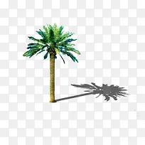 景观鸟瞰树-空若网 景观鸟瞰树-空若网